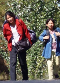 看美女网站