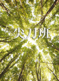 理论亚洲区美一区二区三区