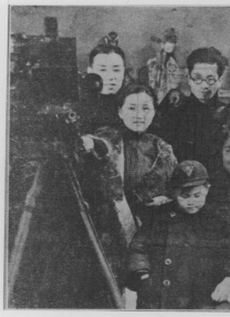 精品在线播放